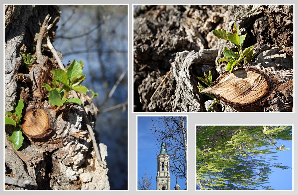 April in Zaragoza