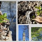 April in Zaragoza