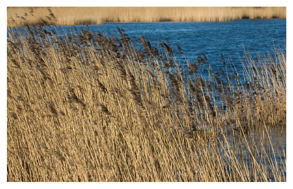 April Licht auf Rügen