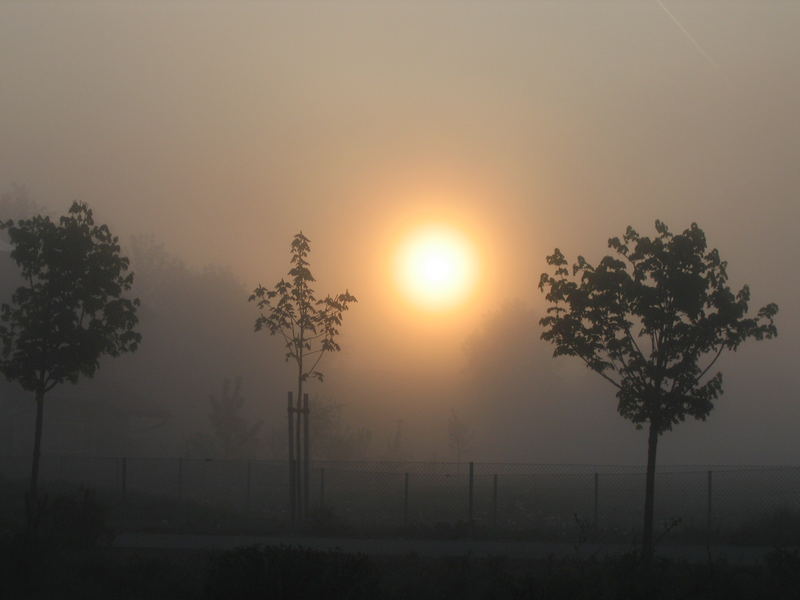 April-Morgen früh um 6 Uhr