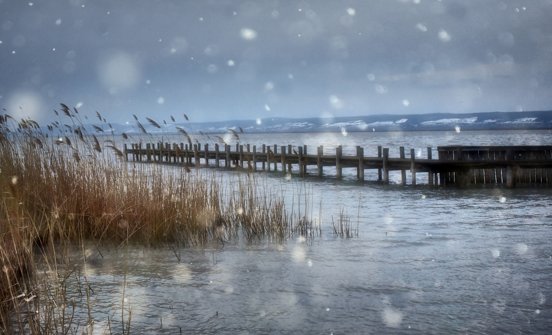 April Schnee am Neusiedler See