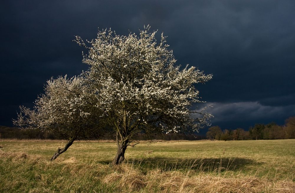 April-Stimmung