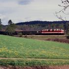 April  vor 25 Jahren im Tal der zahmen Gera ..