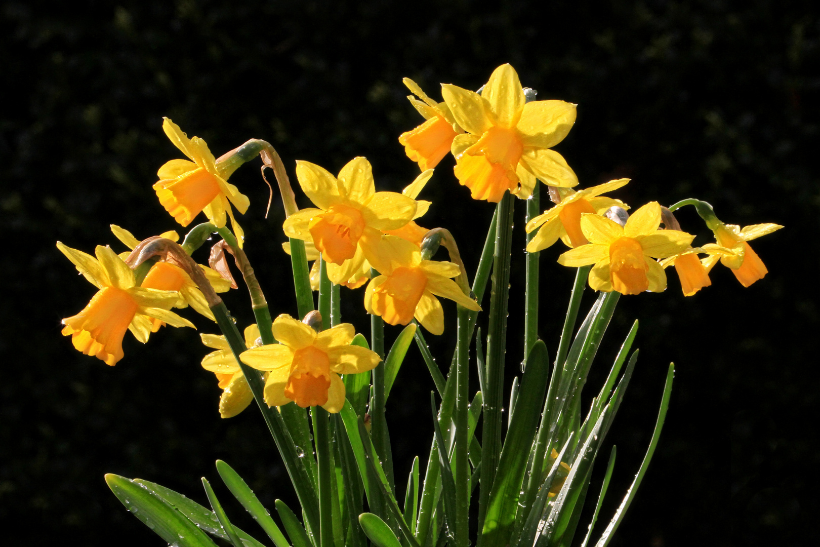 April-Wetter