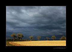 April Wetter