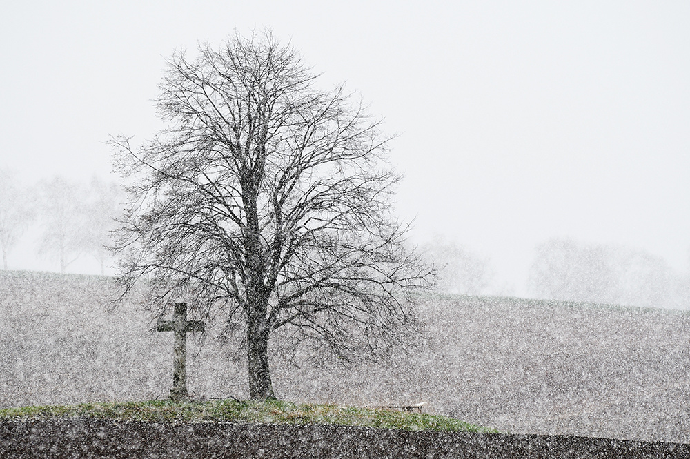 April Wetter