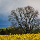 April-Wetter