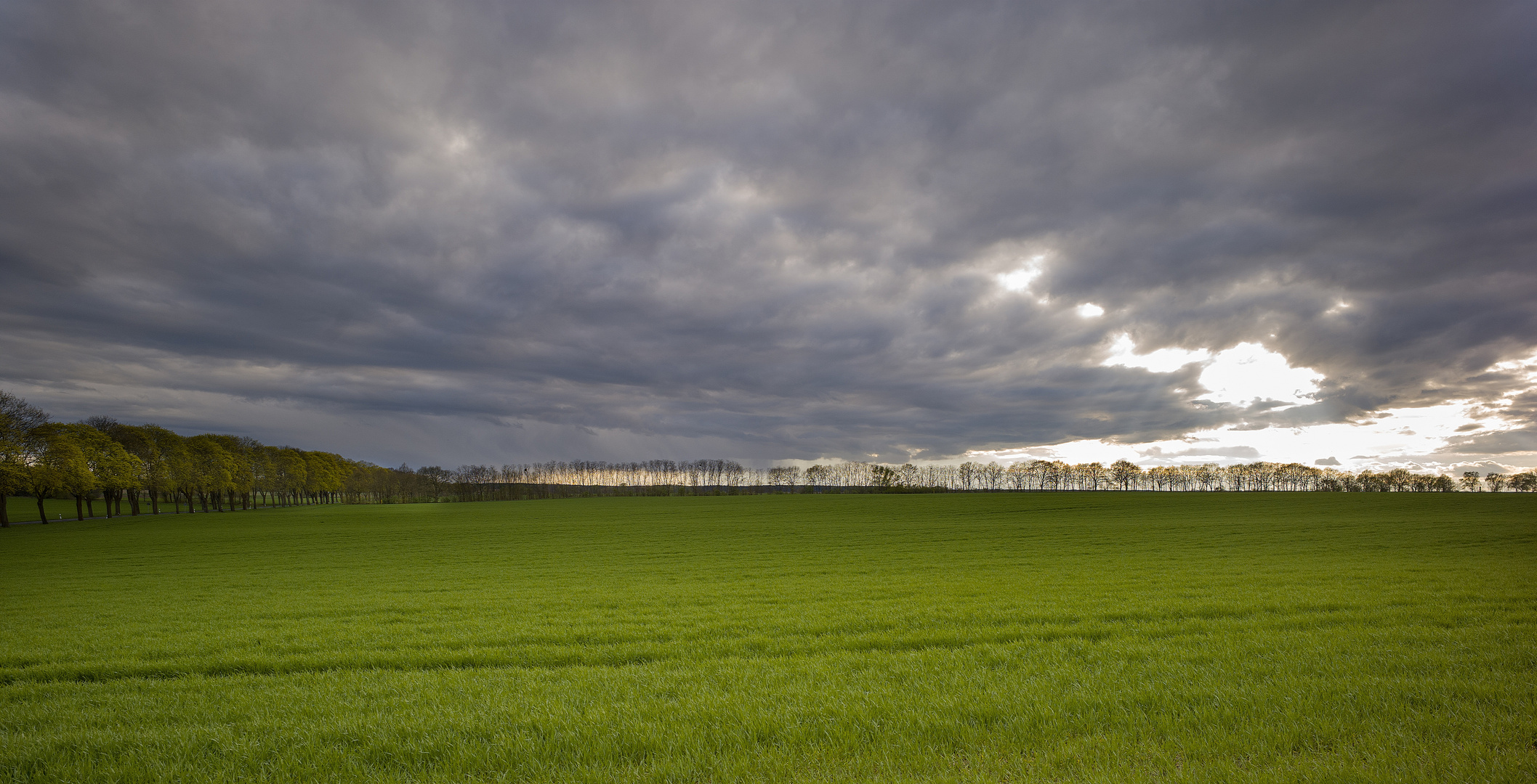 April Wetter