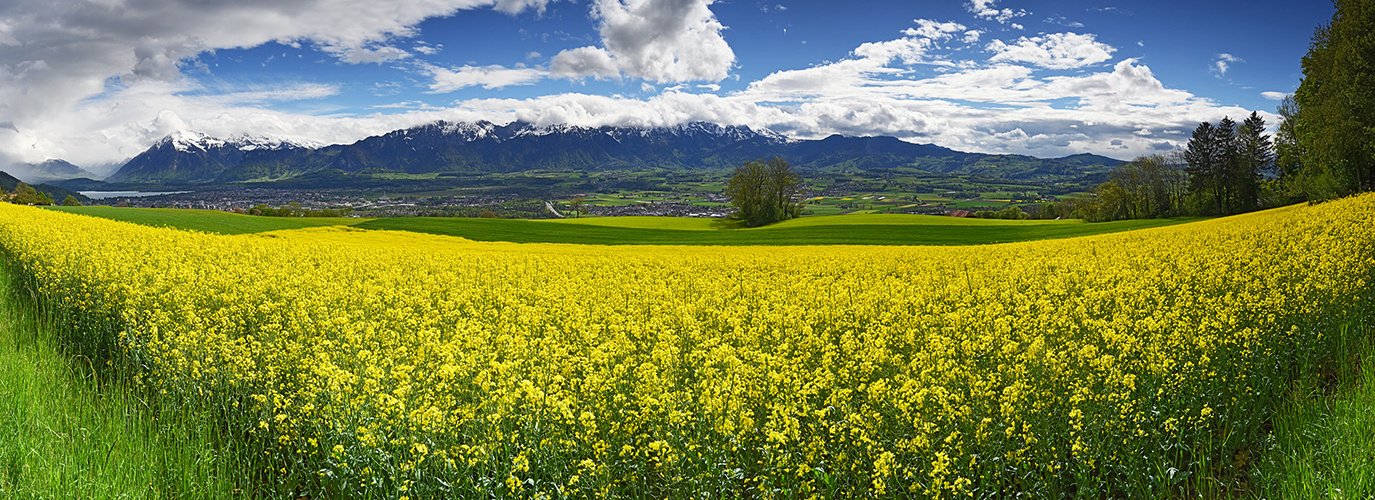 April Wetter