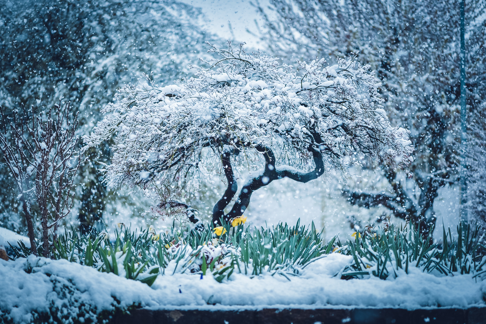 April Wetter Schweiz 