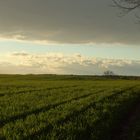 Aprilabend in Lübars am Stadtrand von Berlin