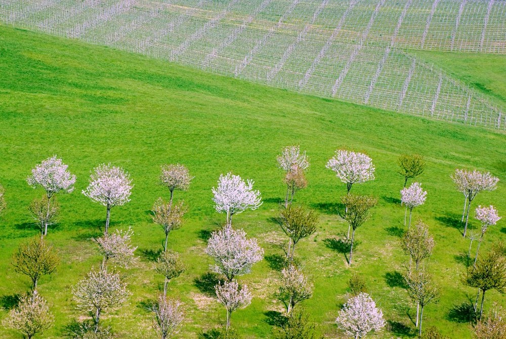 APRILE E I SUOI COLORI