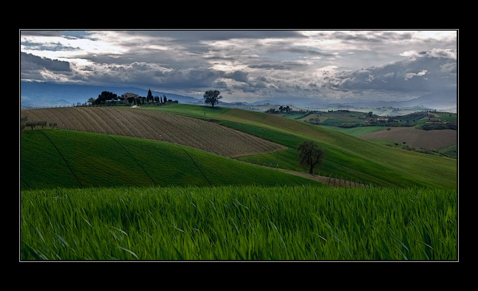 aprile in collina