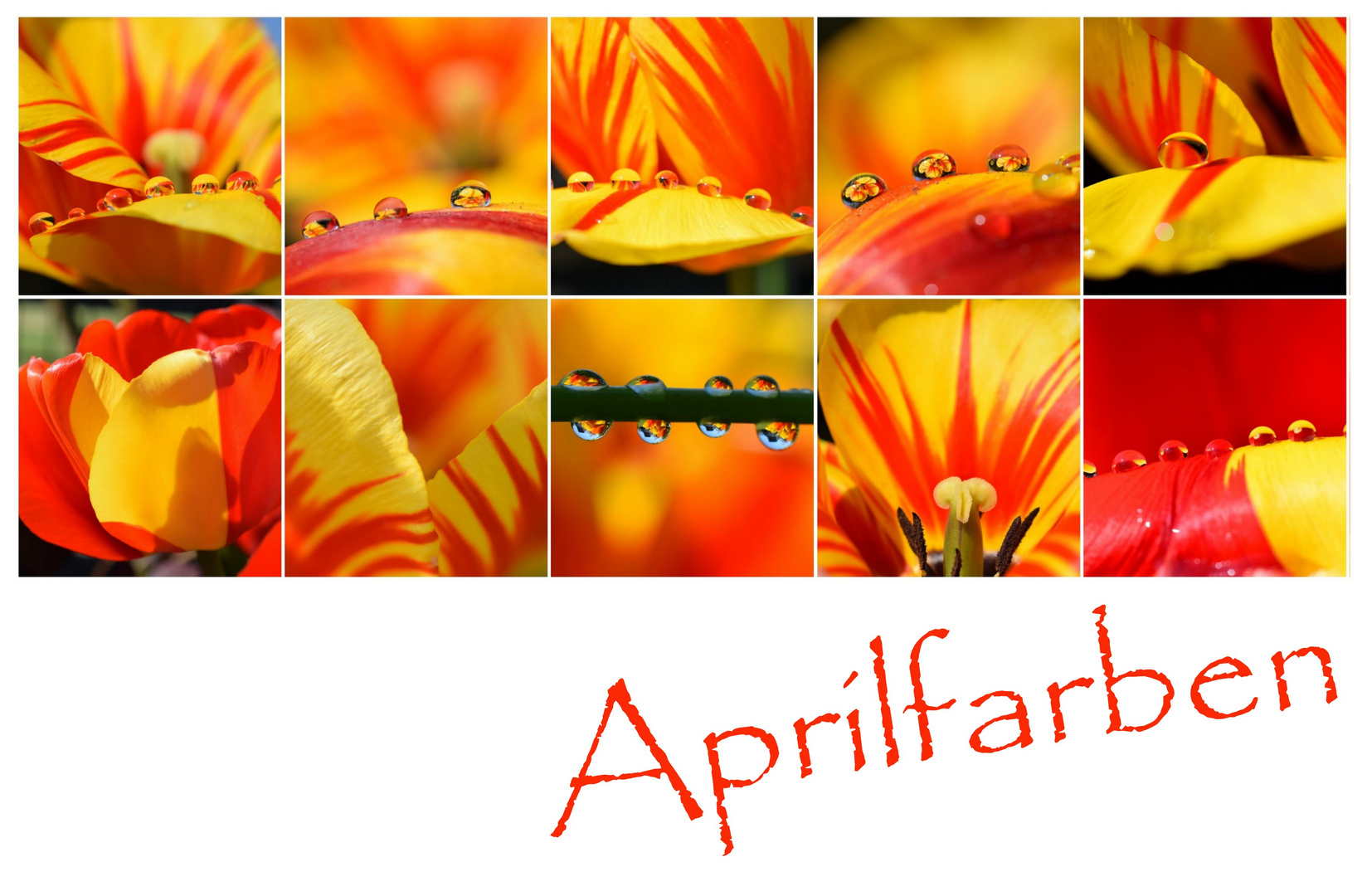 Aprilfarben 20