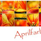 Aprilfarben 20