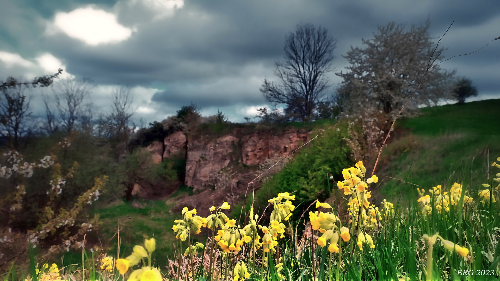 Aprilfrühling am Stadtrand 