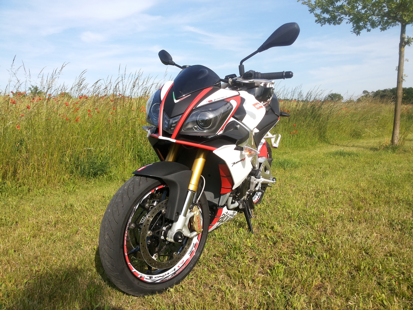 Aprilia Tuono V4R APRC/ABS(3)