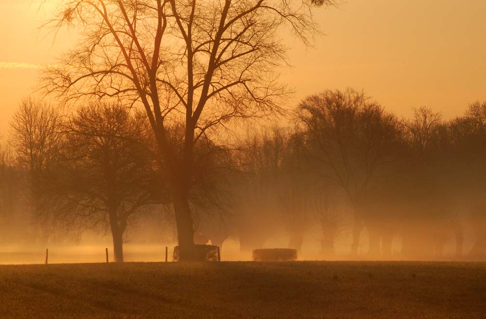 Aprilmorgen