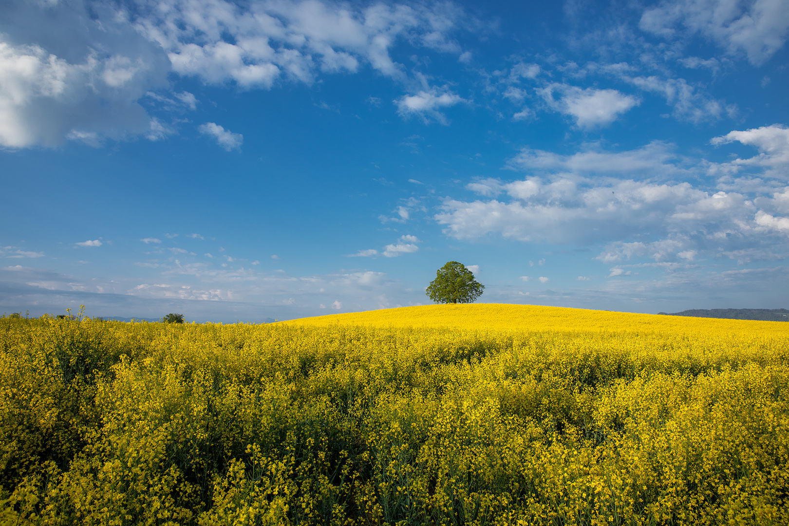 Aprilmorgen