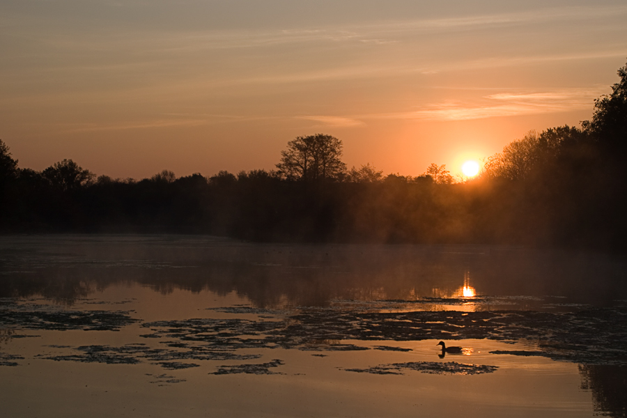 Aprilmorgen am Köppchensee (Lübars in Berlin)