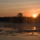 Aprilmorgen am Köppchensee (Lübars in Berlin)