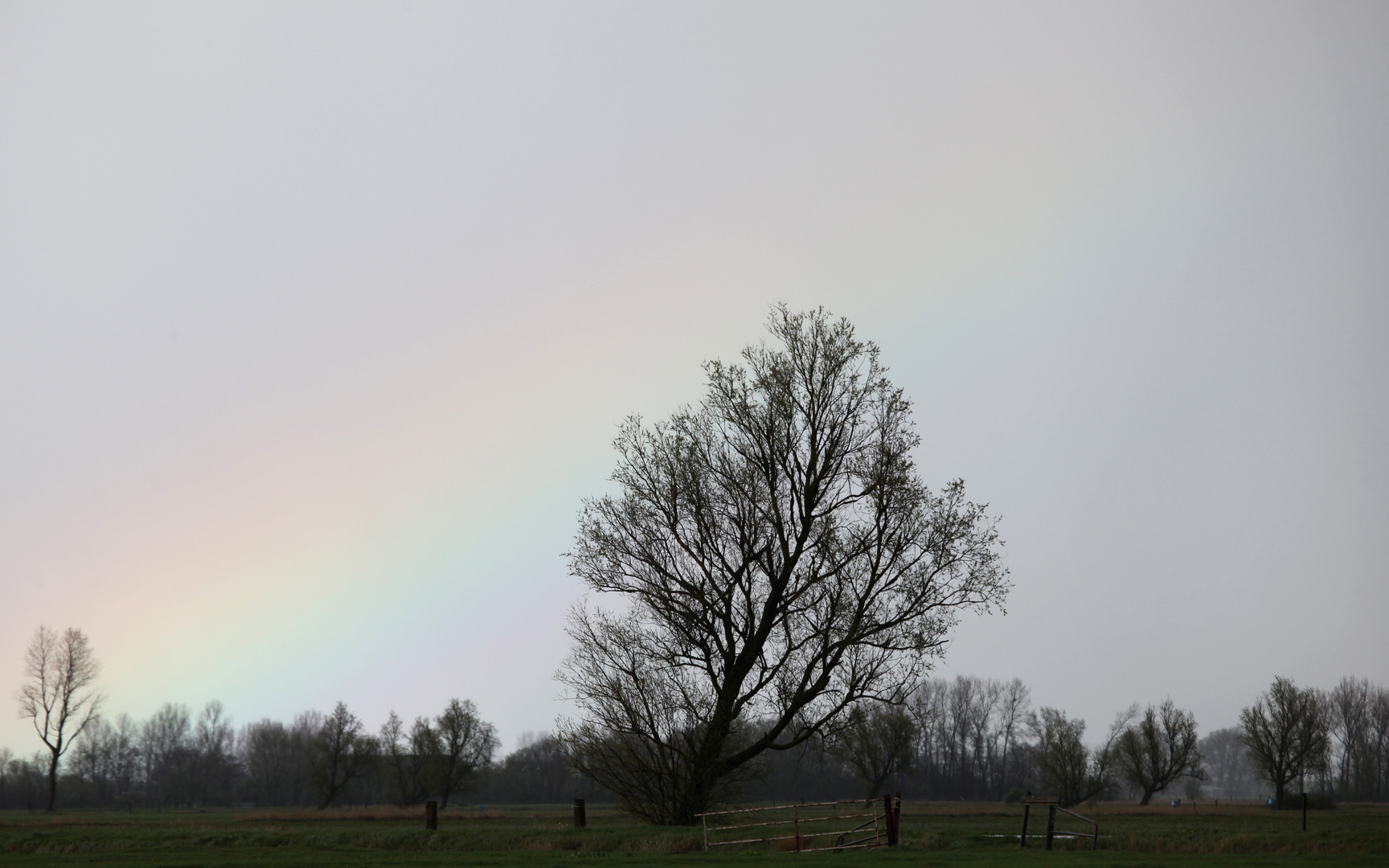 Aprilstimmung im Dollard/NS