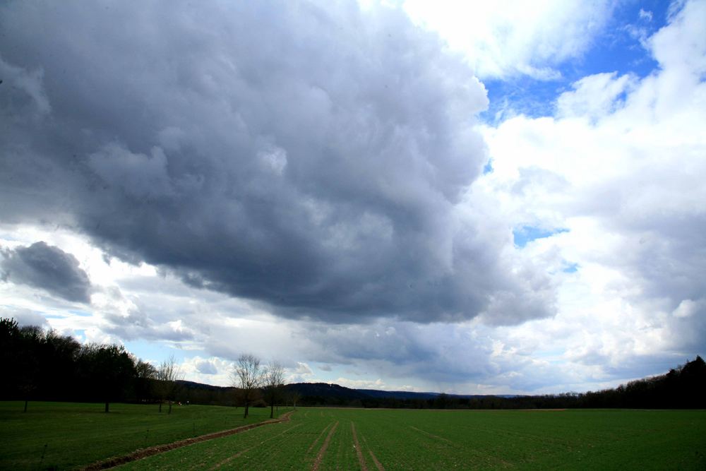 Aprilstimmung im Rafzerfeld