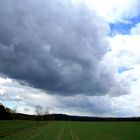 Aprilstimmung im Rafzerfeld