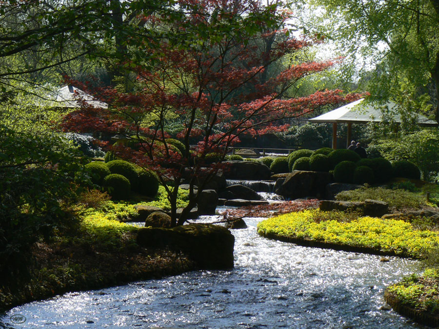 Apriltag im Japanischen Garten...(1)