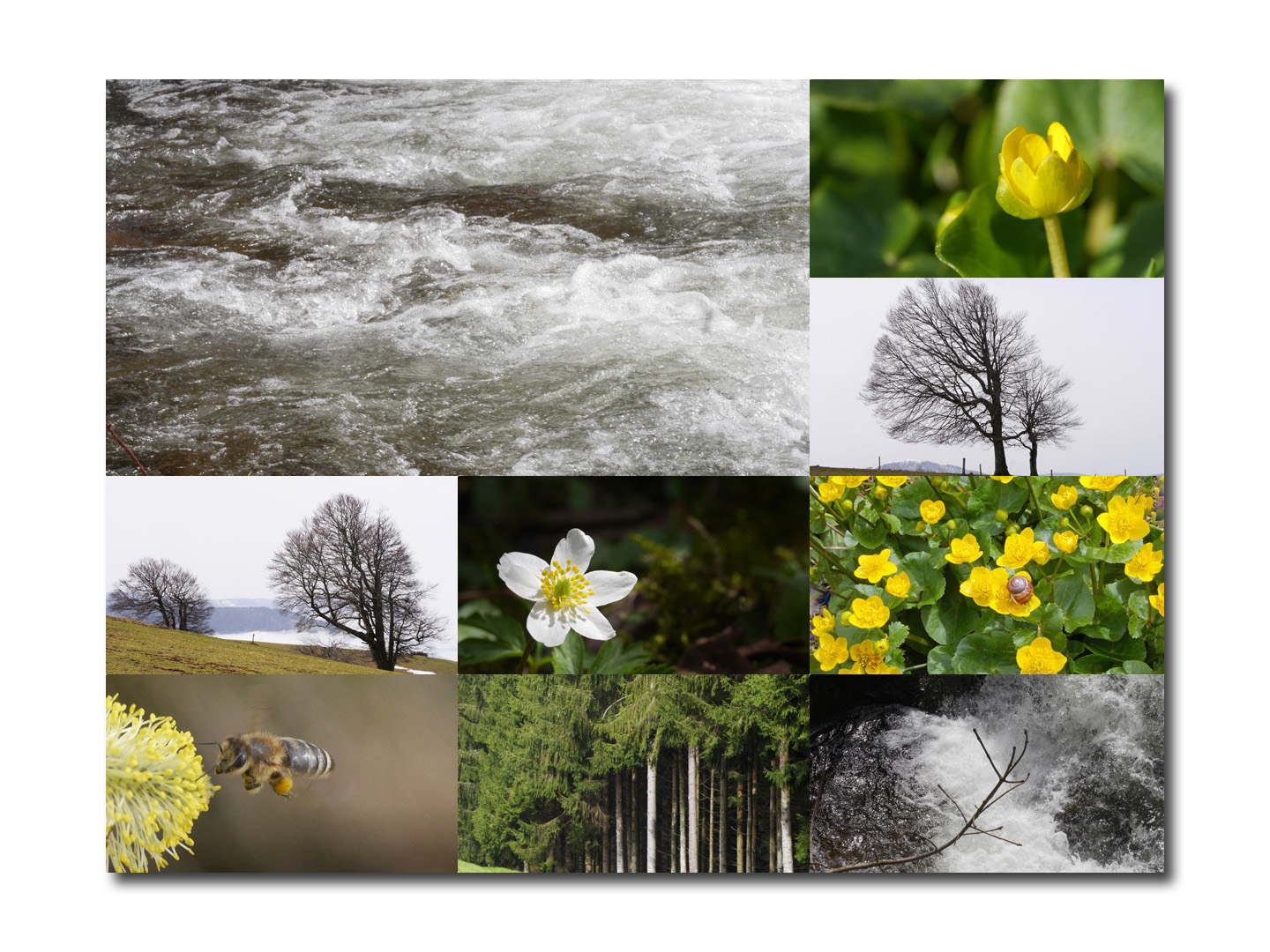 Apriltag im Südschwarzwald