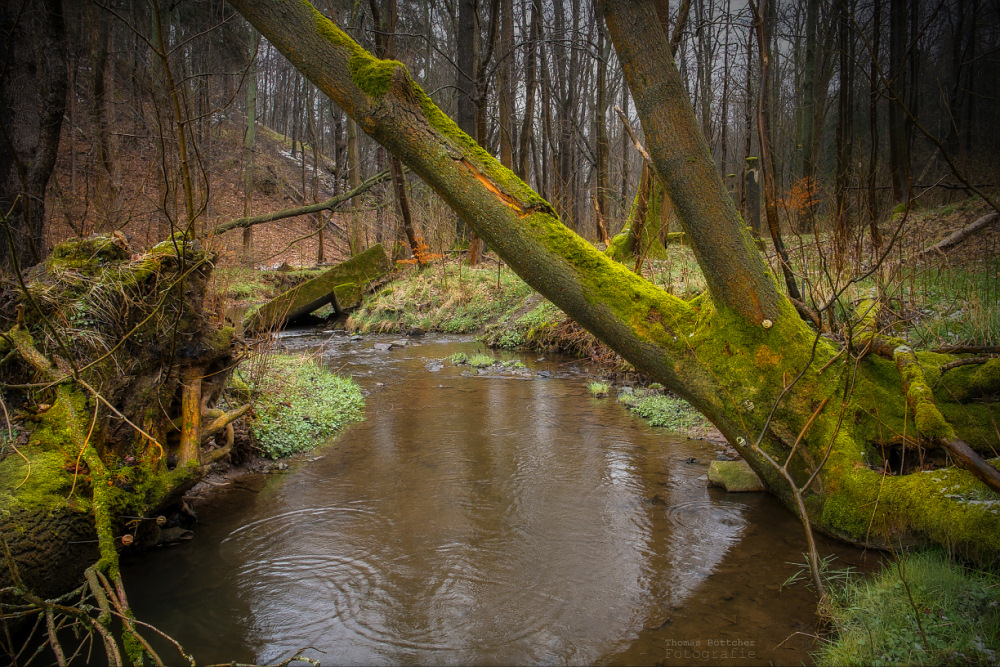 Aprilwanderung