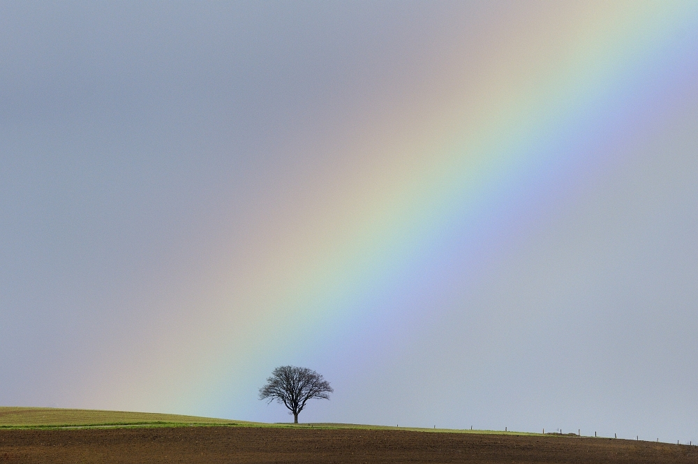 Aprilwetter