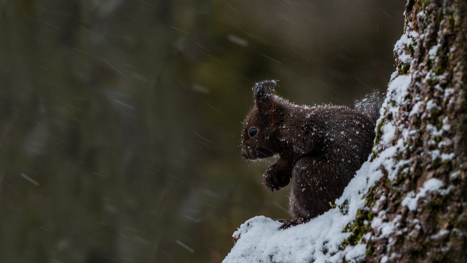 Aprilwetter