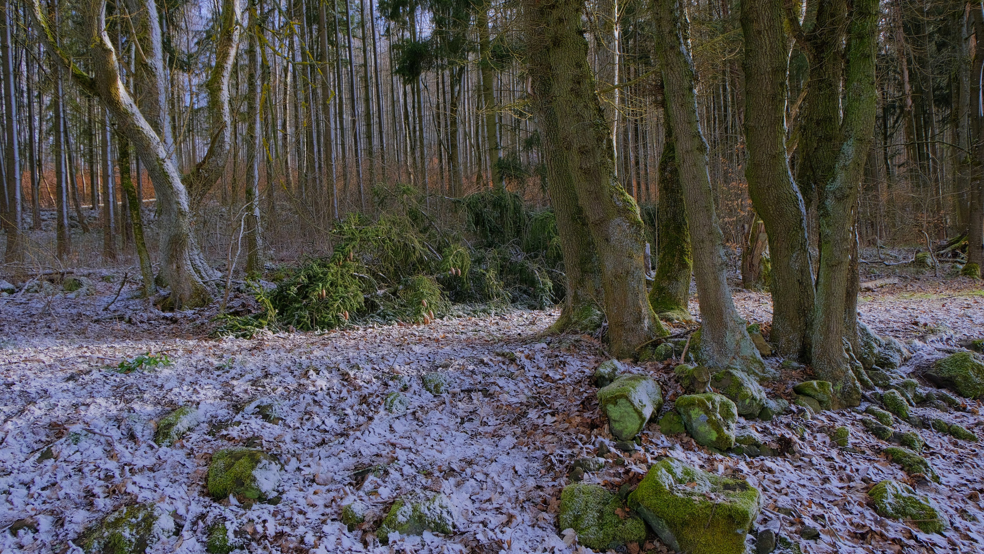 Aprilwetter, 2 (tiempo tornadizo, 2)