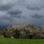 Aprilwetter 3