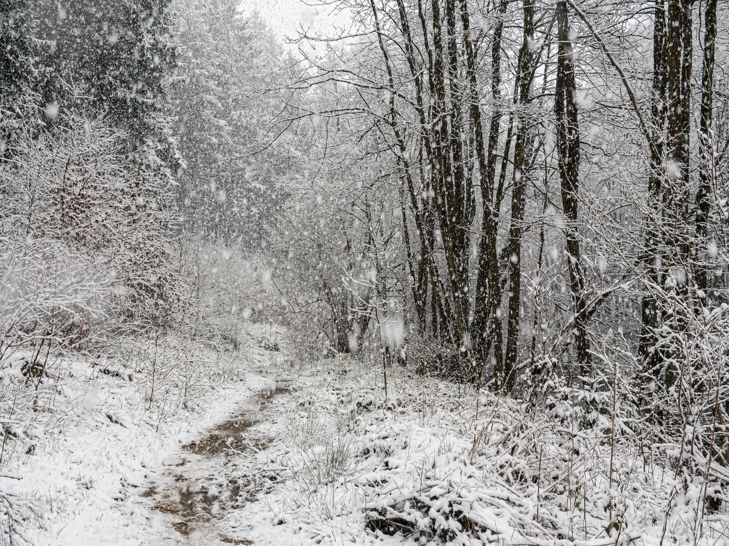 Aprilwetter