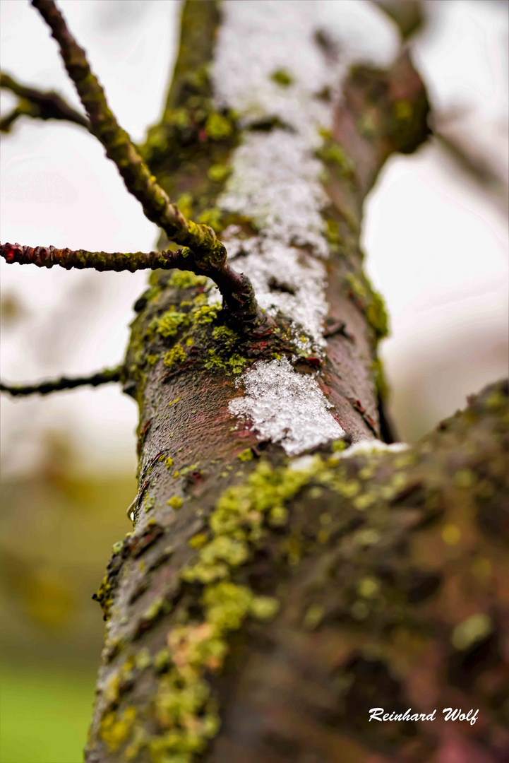 Aprilwetter