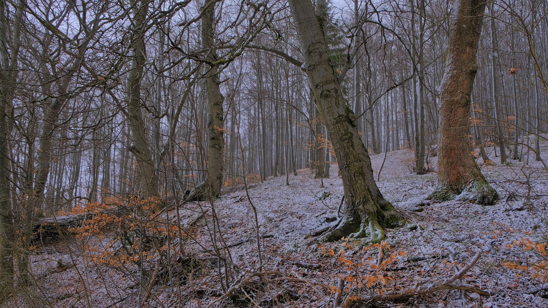 Aprilwetter, 4 (tiempo tornadizo, 4)