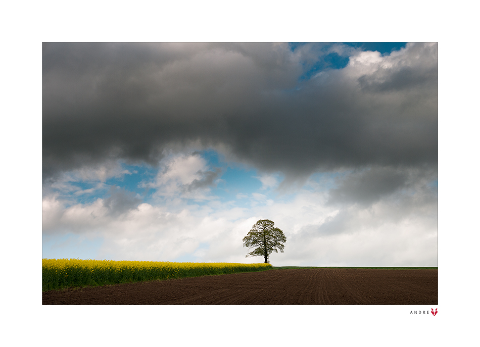 APRILWETTER