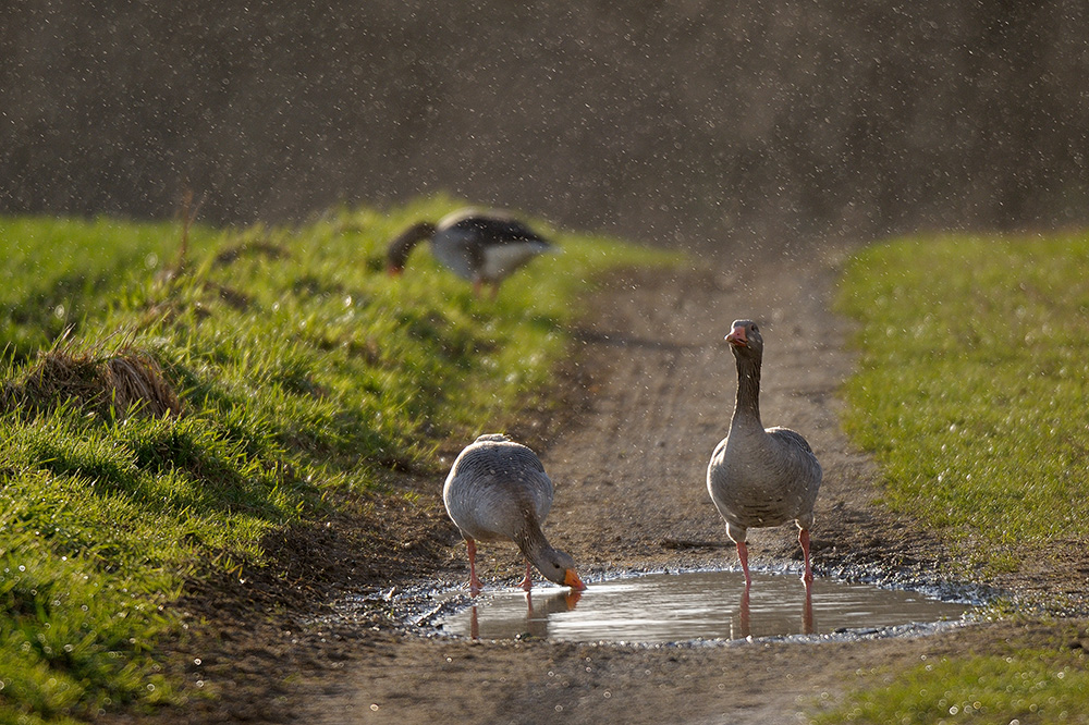 Aprilwetter...