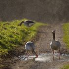 Aprilwetter...