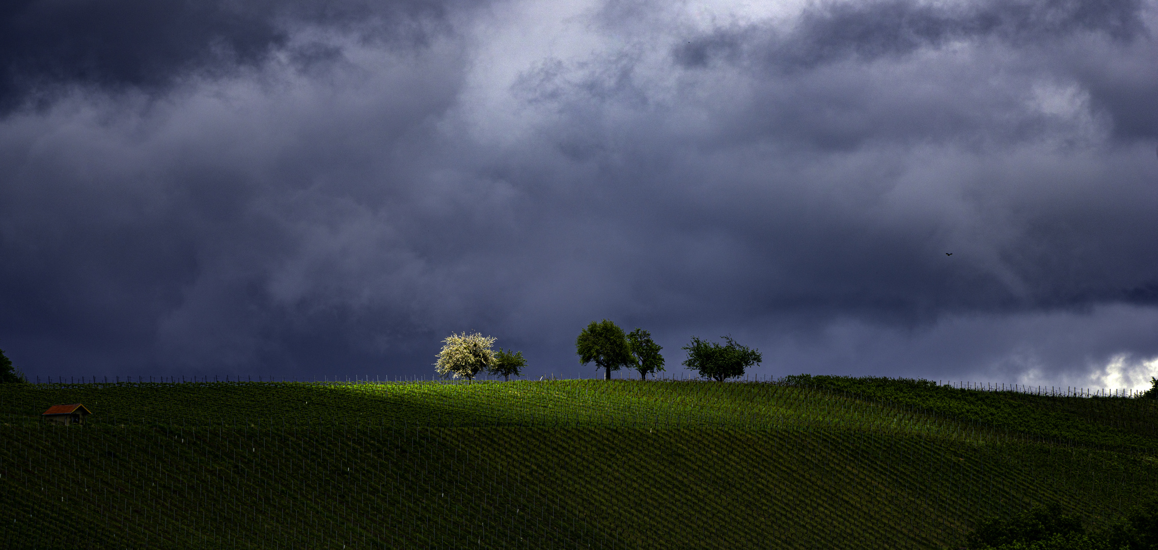 Aprilwetter