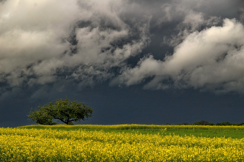 Aprilwetter