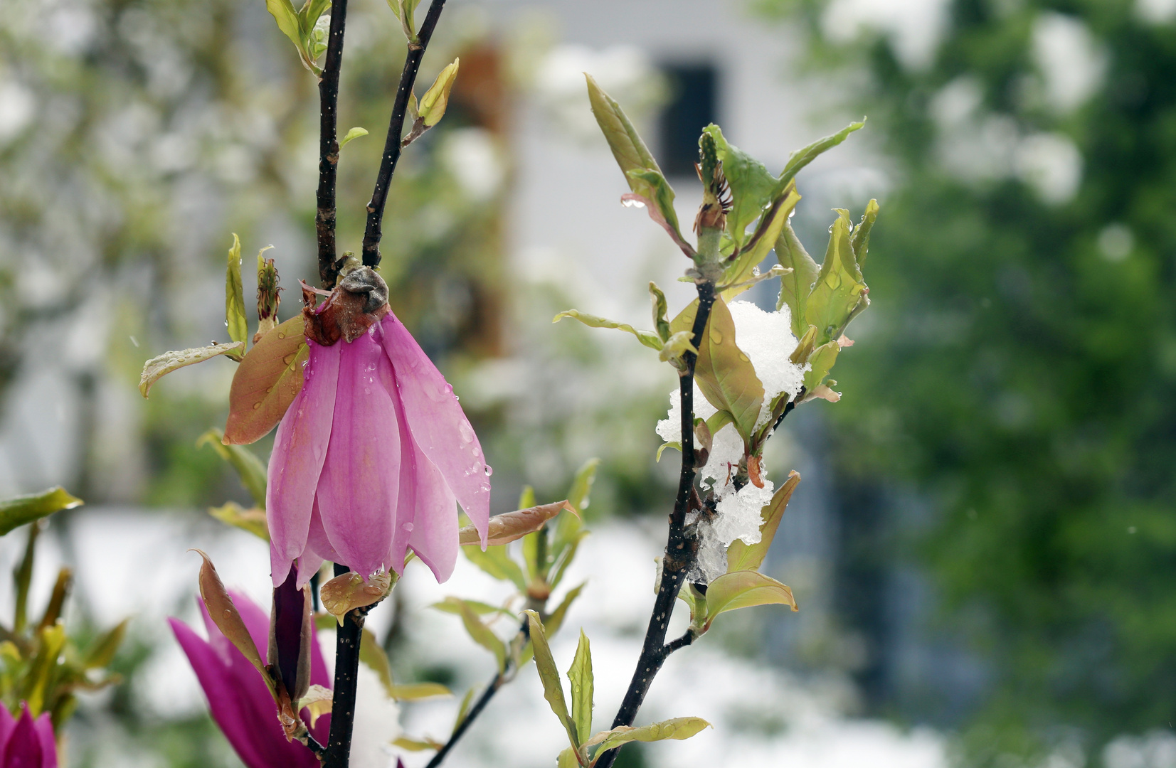 Aprilwetter