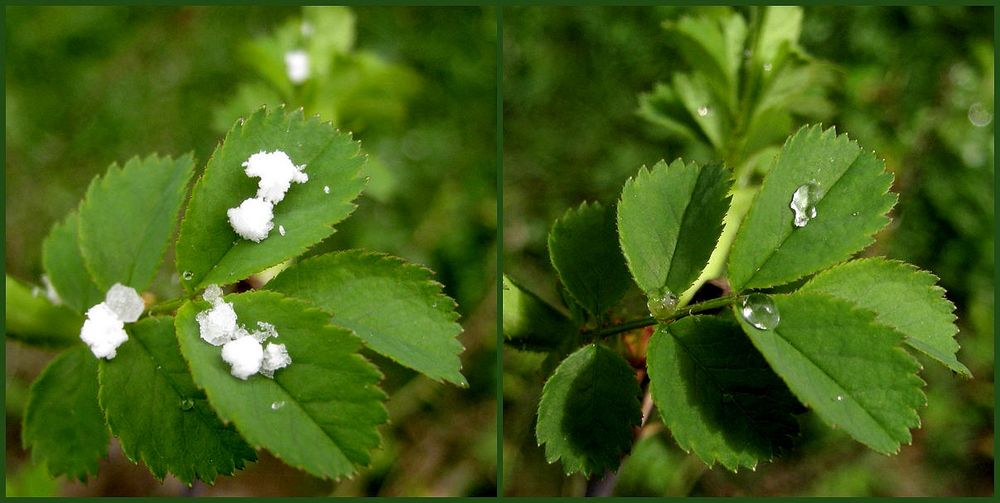 Aprilwetter