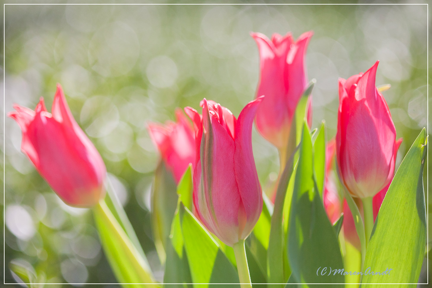 Aprilwetter