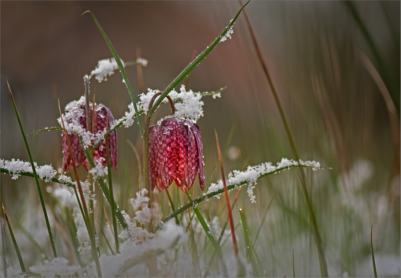 Aprilwetter   . . .