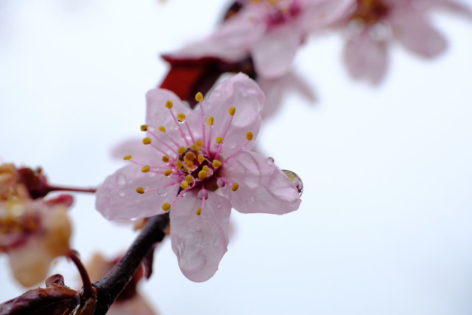 Aprilwetter