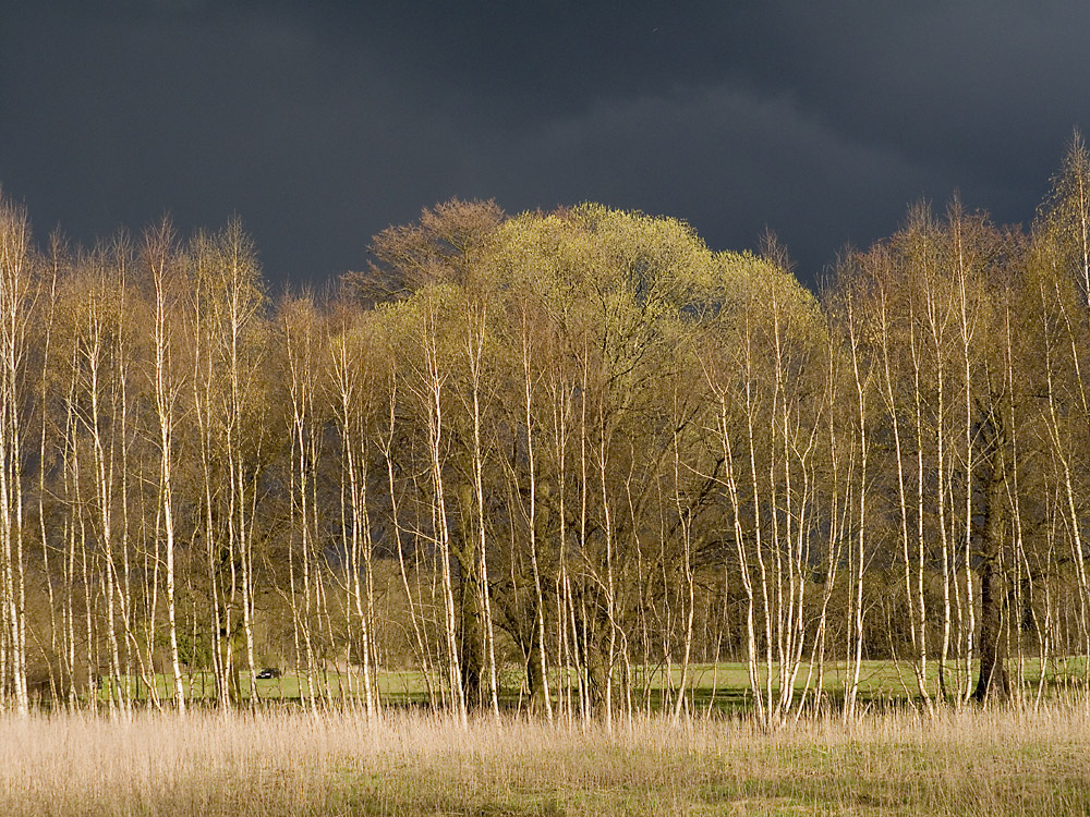 Aprilwetter