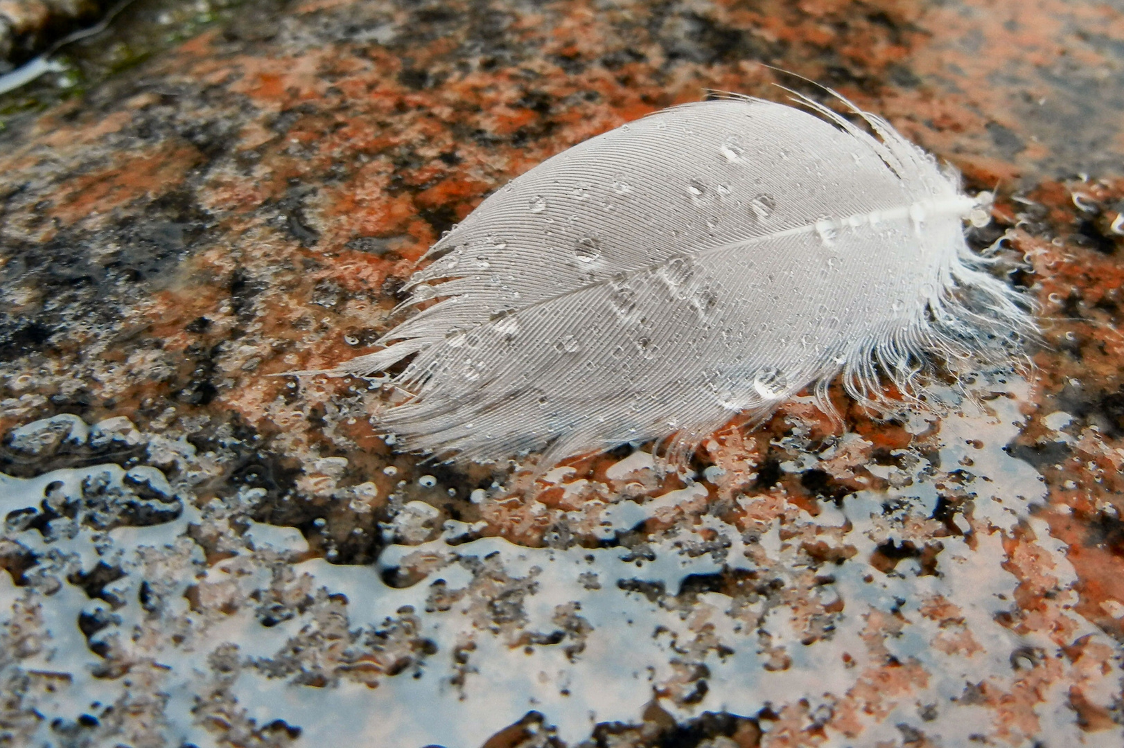 Aprilwetter